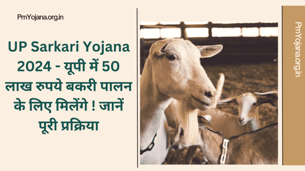 UP Sarkari Yojana 2024 - यूपी में 50 लाख रुपये बकरी पालन के लिए मिलेंगे ! जानें पूरी प्रक्रिया